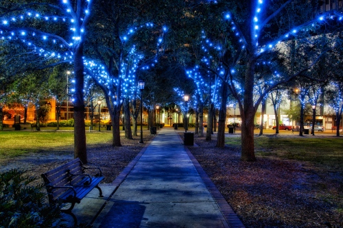 Tampa-Christmas-Lights